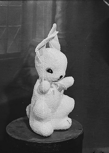 3420081984_672347c283